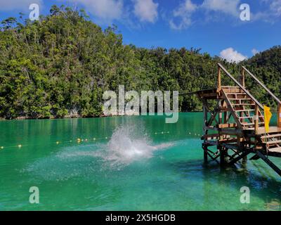 Un trampolino in legno improvvisato in una splendida laguna con acque limpide. Foto Stock