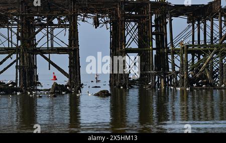 Brighton Regno Unito 10 maggio 2024 - Un paddle boarder con un paio di passeggeri canini gode di una calda mattinata di sole a Brighton presso il West Pier, dato che le temperature previste raggiungeranno i 26 gradi in alcune parti della Gran Bretagna: Credit Simon Dack / Alamy Live News Foto Stock