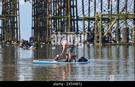 Brighton Regno Unito 10 maggio 2024 - Un paddle boarder con un paio di passeggeri canini gode di una calda mattinata di sole a Brighton presso il West Pier, dato che le temperature previste raggiungeranno i 26 gradi in alcune parti della Gran Bretagna: Credit Simon Dack / Alamy Live News Foto Stock