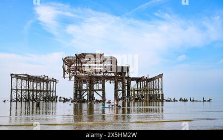 Brighton Regno Unito 10 maggio 2024 - Un paddle boarder con un paio di passeggeri canini gode di una calda mattinata di sole a Brighton presso il West Pier, dato che le temperature previste raggiungeranno i 26 gradi in alcune parti della Gran Bretagna: Credit Simon Dack / Alamy Live News Foto Stock