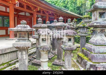 Giappone, Nara. Lanterne del santuario Kasuga Foto Stock