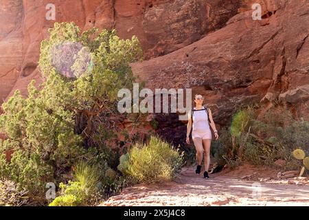 Camminate sulle piste del deserto in Arizona Foto Stock