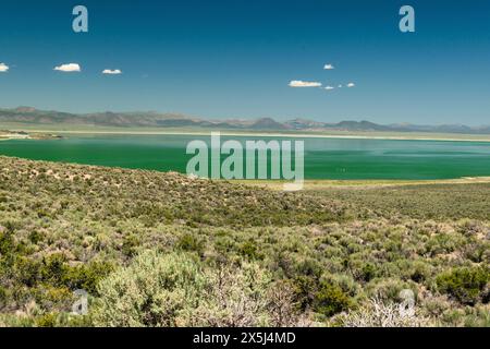 Ampia vista su un vivace lago turchese nella contea di Mono. Foto Stock