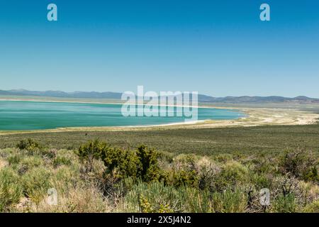 Vivace vista sul lago sullo sfondo del deserto nella contea di Mono. Foto Stock