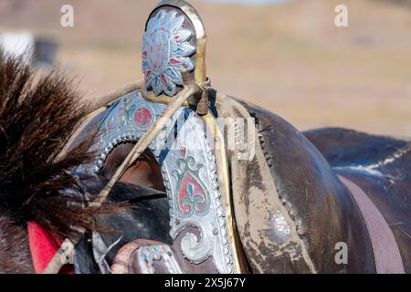 Asia, Mongolia, provincia di Bayan-Oglii. Altai Eagle Festival, dettagli di una sella kazaka. Foto Stock