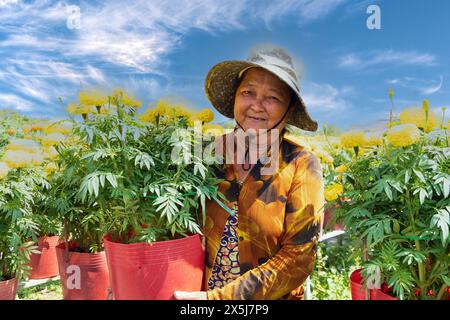 Vietnam. Donna nel suo campo di fiori. (Solo per uso editoriale) Foto Stock