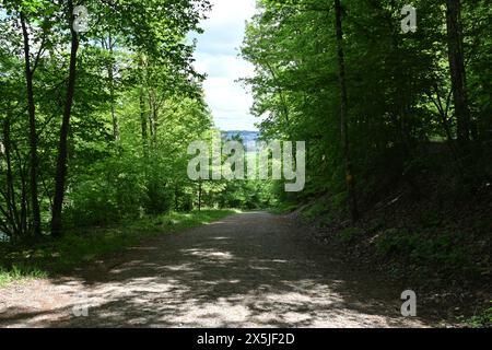 Una tortuosa strada di montagna si snoda attraverso una foresta lussureggiante, scendendo verso il villaggio di Urdorf in Svizzera in una luminosa giornata primaverile. Foto Stock
