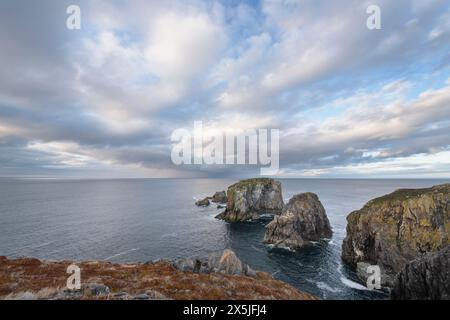 Promontori aspri vicino a Spillars Cove, penisola di Bonavista, Terranova. Foto Stock