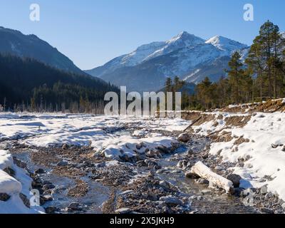 Vista verso il monte Daniel. La piana alluvionale di ghiaia protetta Friedergries nelle Alpi Ammergau (Ammergau Alpen) nelle Alpi calcaree settentrionali dell'alta Baviera, Germania. Foto Stock