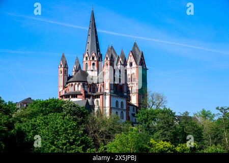 Der Limburger Dom, nach seinem Schutzpatron St. Georg auch Georgsdom genannt, ist seit 1827 Die Kathedralkirche des Bistums Limburg. 10.05.24 *** la Cattedrale di Limburgo, nota anche come Cattedrale di San Giorgio dal suo santo patrono, è la chiesa cattedrale della diocesi di Limburgo dal 1827 10 05 24 Foto Stock