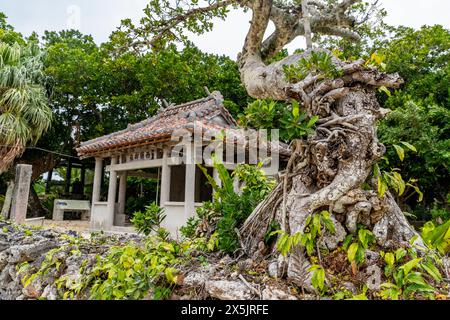 Piccolo santuario, Parco Nazionale dell'isola di Taketomi, Ishigaki, gruppo dell'isola di Yaeyama, Giappone, Asia Copyright: MichaelxRunkel 1184-10874 Foto Stock