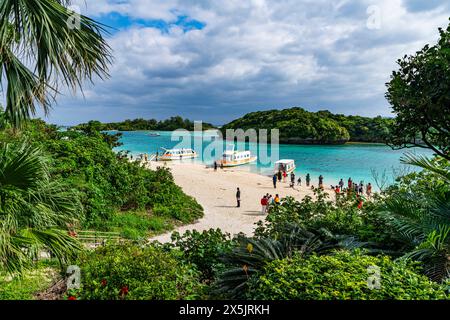 Vista su Kabira Bay, Ishigaki, Yaeyama Island Group, Giappone, Asia Copyright: MichaelxRunkel 1184-10878 Foto Stock