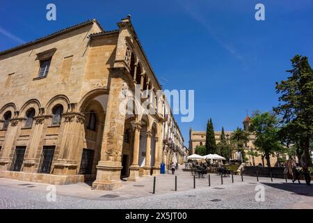 Sale della città vecchia - chiamato anche Palazzo del Consiglio o Municipio Vecchio, Úbeda, provincia di Jaén, Andalusia, Spagna Foto Stock