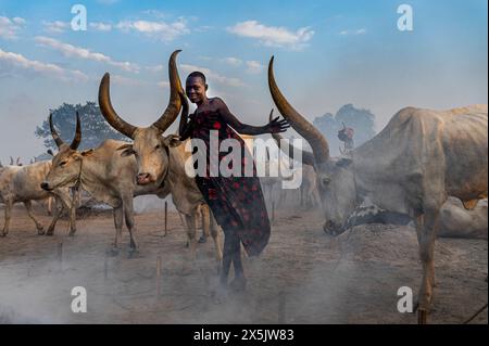 Giovane ragazza in posa con le mucche, tribù Mundari, Sud Sudan, Africa Copyright: MichaelxRunkel 1184-11071 solo per uso editoriale Foto Stock