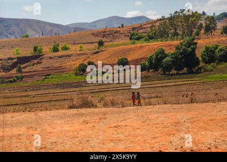 Zona di Antsirabe, Madagascar. 20 ottobre 2023. Strade del Madagascar. Percorso da Antsirabe attraverso piccoli villaggi, case lungo la strada, bestiame, risaie, Foto Stock