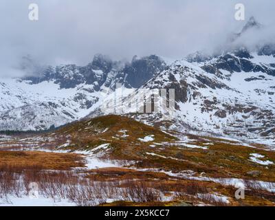 Paesaggio vicino a Mefjordvaer. L'isola di Senja durante l'inverno nel nord della Norvegia. Foto Stock
