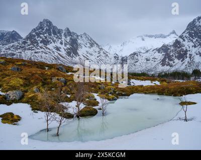 Paesaggio vicino a Mefjordvaer. L'isola di Senja durante l'inverno nel nord della Norvegia. Foto Stock