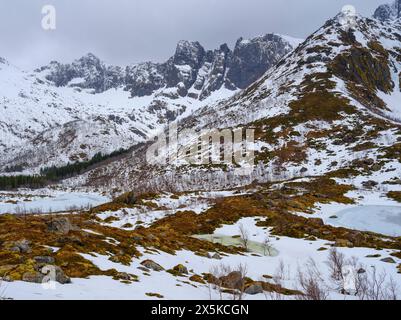 Paesaggio vicino a Mefjordvaer. L'isola di Senja durante l'inverno nel nord della Norvegia. Foto Stock
