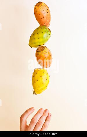 levitazione della pianta di cactus. frutta fresca di cactus giallo maturo che cade in aria a portata di mano. Levitazione alimentare o concezione a gravità zero. Foto Stock