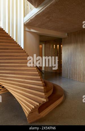 Scala scultorea in legno. ACME Offices, Londra, Regno Unito. Architetto: ACME, 2024. Foto Stock