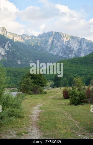 L'immagine cattura un tranquillo sentiero tra alberi verdeggianti con torreggianti scogliere sullo sfondo, che evocano un senso di avventura e bellezza naturale Foto Stock