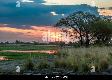 Vista del paesaggio al Chobe Rifer in Botswana Foto Stock