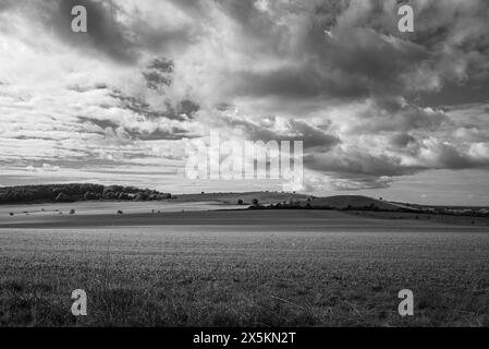 Paesaggio monocromatico con un vasto campo Foto Stock