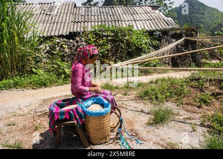 Flower Hmong donna che filava fibre di lino, ma Pi Leng, ha Giang, Vietnam Foto Stock