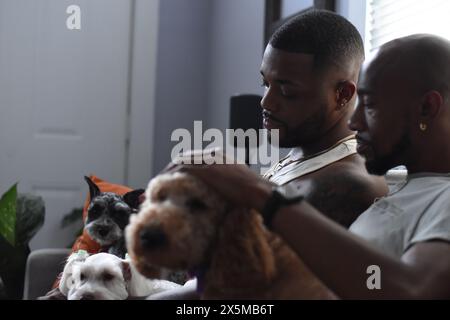 USA, Louisiana, coppia gay con cani che si rilassano sul divano Foto Stock
