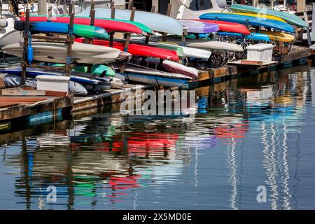 Stati Uniti, California, San Diego. America's Cup Harbor, kayak, portabagagli e riflessi Foto Stock