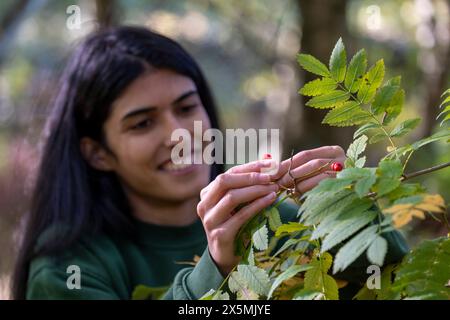 Donna sorridente che raccoglie bacche rosse nella foresta Foto Stock