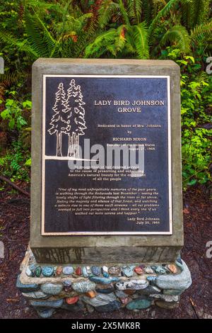 Targa di dedica al Lady Bird Johnson Grove, Redwood National Park, California, USA Foto Stock