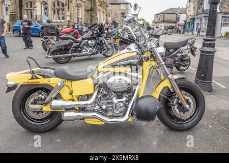 La Yellow Harley Davidson ha parcheggiato tra le altre motociclette nel mercato di Settle, nel North Yorkshire. Maggio 2024 Foto Stock