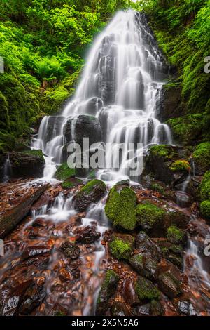 Le Fairy Falls, Columbia River Gorge National Scenic Area, Oregon, Stati Uniti d'America Foto Stock