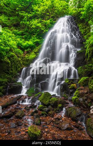 Le Fairy Falls, Columbia River Gorge National Scenic Area, Oregon, Stati Uniti d'America Foto Stock