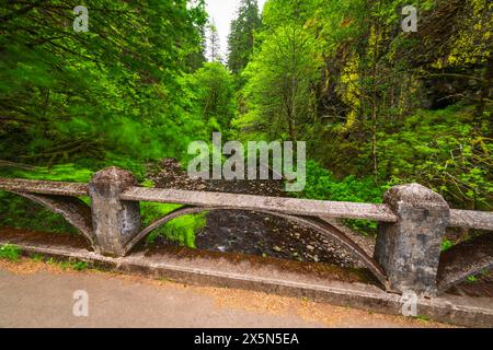 Oneonta Gorge, Columbia River Gorge National Scenic area, Oregon, Stati Uniti Foto Stock