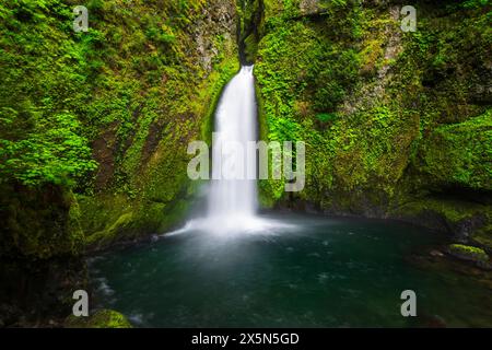Wahclella Falls, Columbia River Gorge National Scenic Area, Oregon, Stati Uniti d'America Foto Stock