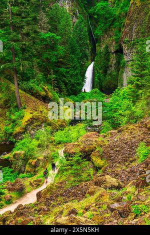 Wahclella Falls, Columbia River Gorge National Scenic Area, Oregon, Stati Uniti d'America Foto Stock