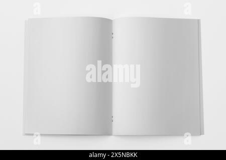 Rendering 3D con mockup A4 verticale Foto Stock