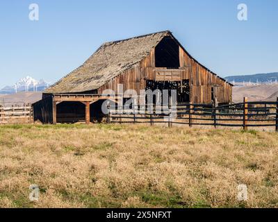 Stati Uniti, stato di Washington, contea di Kittitas. Vecchio fienile di legno in autunno nella contea di Kittitas. Foto Stock