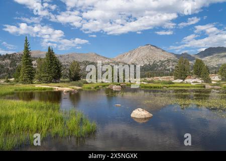 Stagno subalpino Bridger Wilderness, Wind River Range, Wyoming. Foto Stock