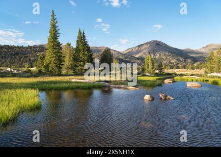 Stagno subalpino Bridger Wilderness, Wind River Range, Wyoming. Foto Stock