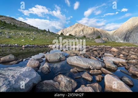 Picchi e creste della East Fork Valley viste da tarn sopra il lago Pyramid. Bridger Wilderness. Wind River Range, Wyoming. Foto Stock