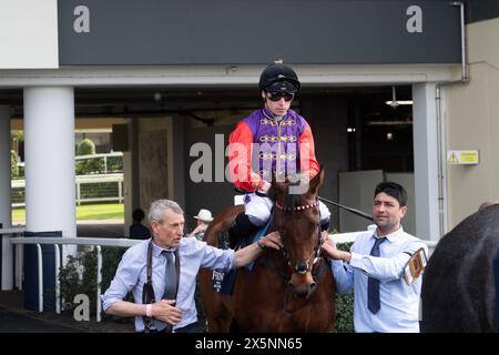 Ascot, Berkshire, Regno Unito. 10 maggio 2024. La tenuta Horse Crown, guidata dal fantino Kieran Shoemark, indossa i colori delle corse di sua Maestà il Re prima di correre nelle gare Peroni nastro Azzurro 0,0% handicap Stakes all'ippodromo di Ascot presso il Peroni nastro Azzurro 0,0% venerdì Raceday. Crediti: Maureen McLean/Alamy Live News Foto Stock