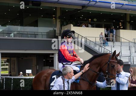 Ascot, Berkshire, Regno Unito. 10 maggio 2024. La tenuta Horse Crown, guidata dal fantino Kieran Shoemark, indossa i colori delle corse di sua Maestà il Re prima di correre nelle gare Peroni nastro Azzurro 0,0% handicap Stakes all'ippodromo di Ascot presso il Peroni nastro Azzurro 0,0% venerdì Raceday. Crediti: Maureen McLean/Alamy Live News Foto Stock