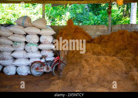 Tre fasi di preparazione della corda di cocco con processo tradizionale. Piccola manifattura privata per la produzione di corde da gusci di cocco Foto Stock