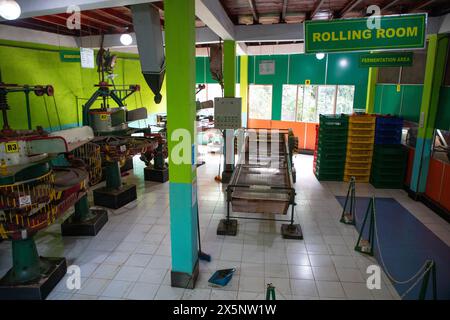 Geragama Estate Rd, Pilimathalawa, Sri Lanka. 10.02.23 l'interno di una fabbrica di tè. Macchine per asciugare e selezionare le foglie di tè Foto Stock