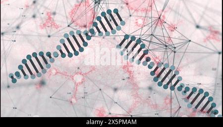 Immagine della rete di connessioni, dna e strutture molecolari che fluttuano su sfondo grigio Foto Stock