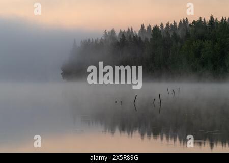 Lago vicino ad Hartola, foresta nella nebbia, Finlandia Foto Stock