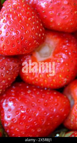 Fragole rosse fresche per una dieta sana, fragole, fotografia. Foto di alta qualità Foto Stock